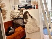 Appartement 1 pièce 9 m²