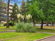 PESSAC 33 2 Pièces Quartier Le Pontet