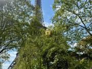 Appartement 355 m2 Paris 7ème