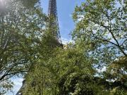 Appartement 355 m2 Paris 7ème