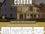 Appartement 3,5 pièces de standing vis à vis nature et...