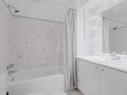 Appartement 3 ½ à louer Sainte Foy / Sillery septembre 2025