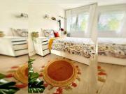 Appartement 3 chambres, Paris Paris 92120 DLS62838040