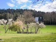 Appartement 3 pièces 100 m²