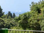 Appartement 3 pièces 103 m²