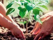 appartement 3 pièces