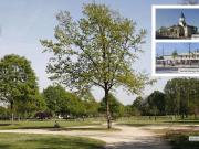 appartement 3 pièces