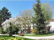 appartement 3 pièces