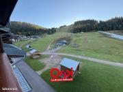 Appartement 3 pièces 41 m²