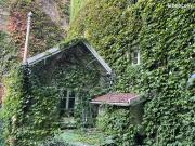 Appartement 3 pièces 41 m²