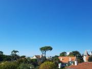 Appartement 3 pièces 50 m²