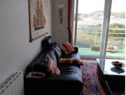 Appartement 3 pièces 50 m²