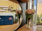 Appartement 3 pièces 50 m²