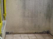 Appartement 3 pièces 53 m²