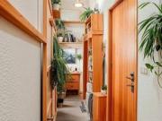 Appartement 3 pièces 53 m²