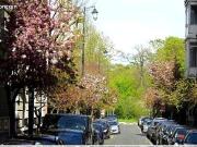 Appartement 3 pièces 54 m²