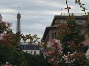 Appartement 3 pièces 54 m²