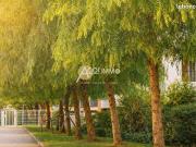 Appartement 3 pièces 54 m²