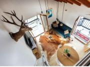 Appartement 3 pièces 55 m²