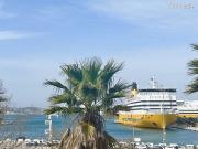 Appartement 3 pièces 55 m²