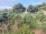 Appartement 3 pièces 55 m²