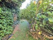 Appartement 3 pièces 55 m²