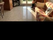 Appartement 3 pièces 55 m²