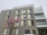 Appartement 3 pièces 56 m²