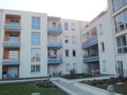 Appartement 3 pièces, 62 m² à louer à Toulouse 31300