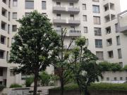 Appartement · 3 pièces · 67 m²