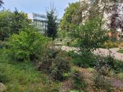 Appartement 3 pièces 71 m²