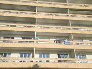 Appartement 3 pièces 71 m²