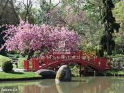 Appartement 3 pièces 75 m²