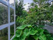 Appartement 3 pièces, 77 m² à louer à Rivière Pilote 97211