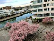 Appartement 3 pièces 80 m²