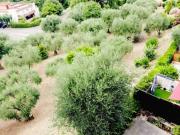 Appartement 3 pièces 80 m²