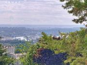 Appartement 3 pièces 81 m²