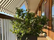 Appartement 3 pièces 82 m²