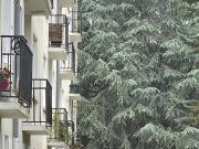 Appartement 3 pièces 83 m²