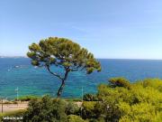 Appartement 3 pièces 84 m²