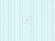 Appartement 3 pièces à Lille