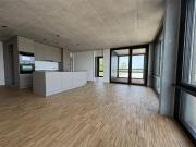 Appartement 3 ½ pièces à louer à Rudolfstetten Flatfox