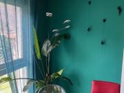 Appartement 41/2 pièces à capolago ti, meublé,...