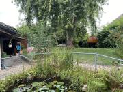 41/2 ROOM APARTMENT IN ERSIGEN BE, FURNISHED, TEMPORARY