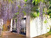 Appartement en bord de mer