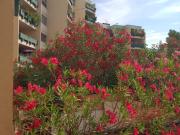 Appartement 4 pièces 111 m²