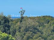 Appartement 4 pièces 113 m²