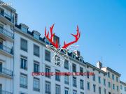 Appartement 4 pièces 116 m²
