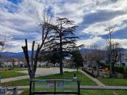 Appartement 4 pièces 135 m²