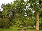 appartement 4 pièces